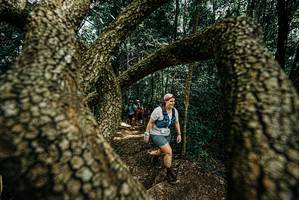 BIB: 
                            <button type="button" onclick="openModal(25703796)" class="btn btn-primary btn-sm float-right btn-popup" data-toggle="modal" data-target=".modal-high-quality">
                        <i class="fas fa-shopping-cart"></i> Add to Cart
                    </button>
                                            <button type="button" onclick="isThisMe(25703796, true)" class="btn btn-success btn-sm float-right btn-popup btn-isme hidden" data-toggle="tooltip" data-placement="bottom" title="นี่คือรูปของคุณใช่ไหม คลิกที่นี่เพื่อเอาเข้าอัลบั้ม">
                        <i class="fas fa-plus"></i> Add to album
                    </button>
                    <button type="button" onclick="isThisMe(25703796, false)" class="btn btn-warning btn-sm float-right btn-popup btn-isnotme hidden">
                        <i class="fas fa-ban"></i> Remove from album
                    </button>